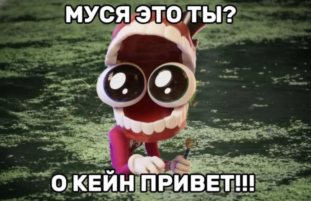 Фото покупателя
