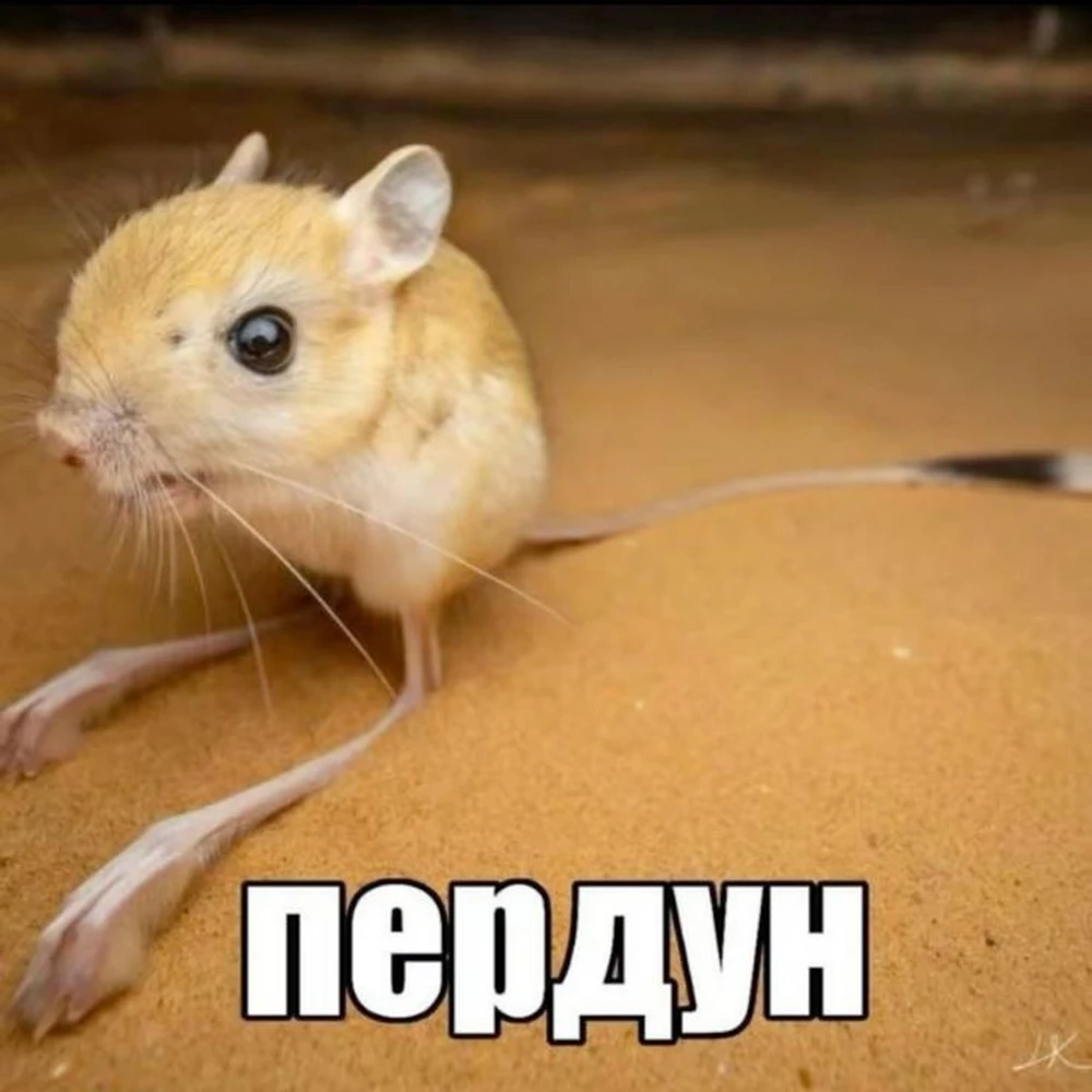 Фото покупателя