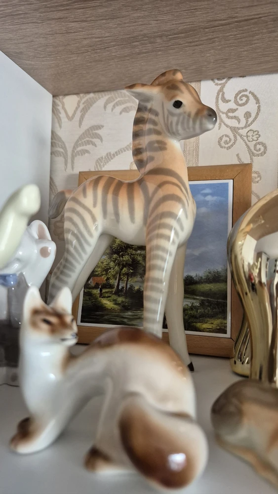 Юлия отзыв от 07.04.2026