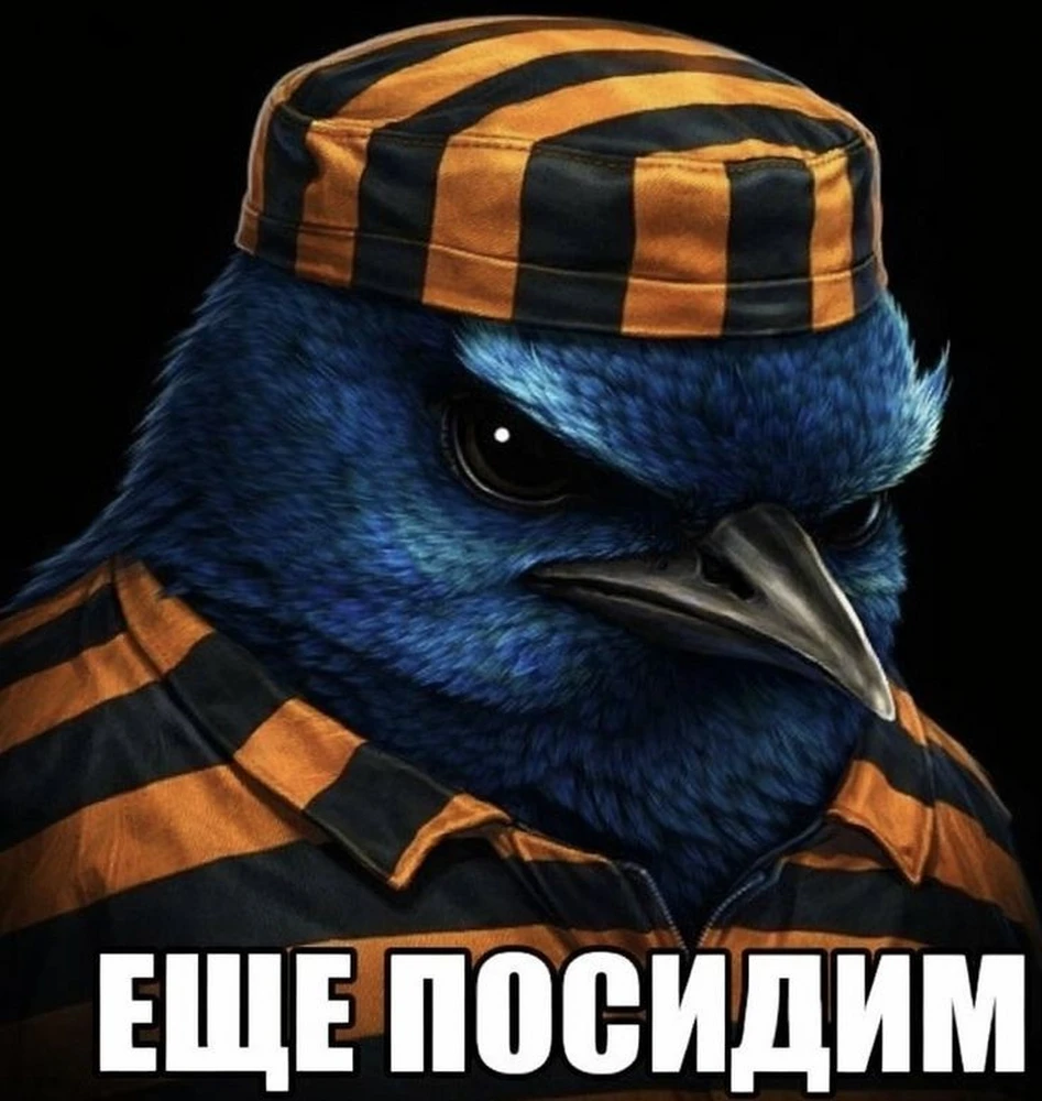 Фото покупателя